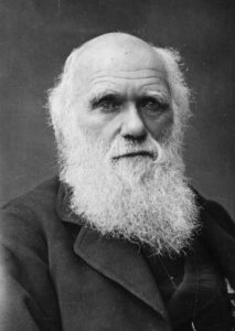 8_Darwin